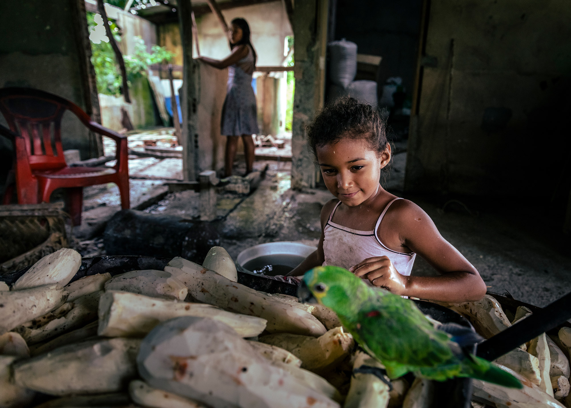 An Akroá-Gamella indigenous girl playing with a parrot.