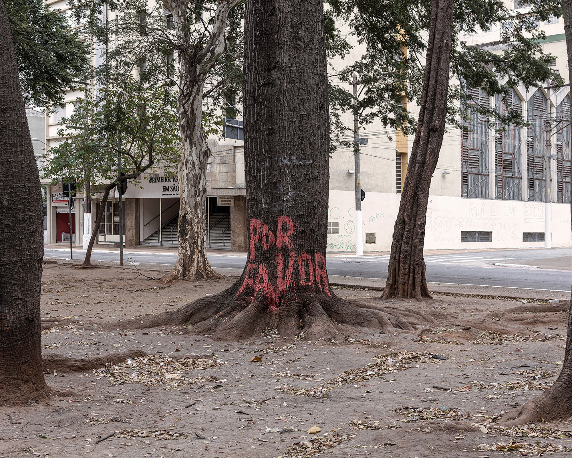 A help note written in a tree.