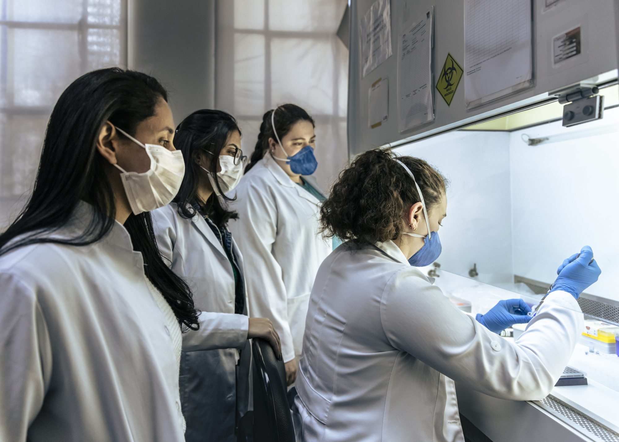 Portrait of the São Paulo University Medical 
investigation laboratory's researchers (left to right) Monica Pereira Coelho, Thaís Rezende, Juliana Zanatta de Carvalho Dias and Mariana Prado Marmorato preparing a test for genomic analysis.