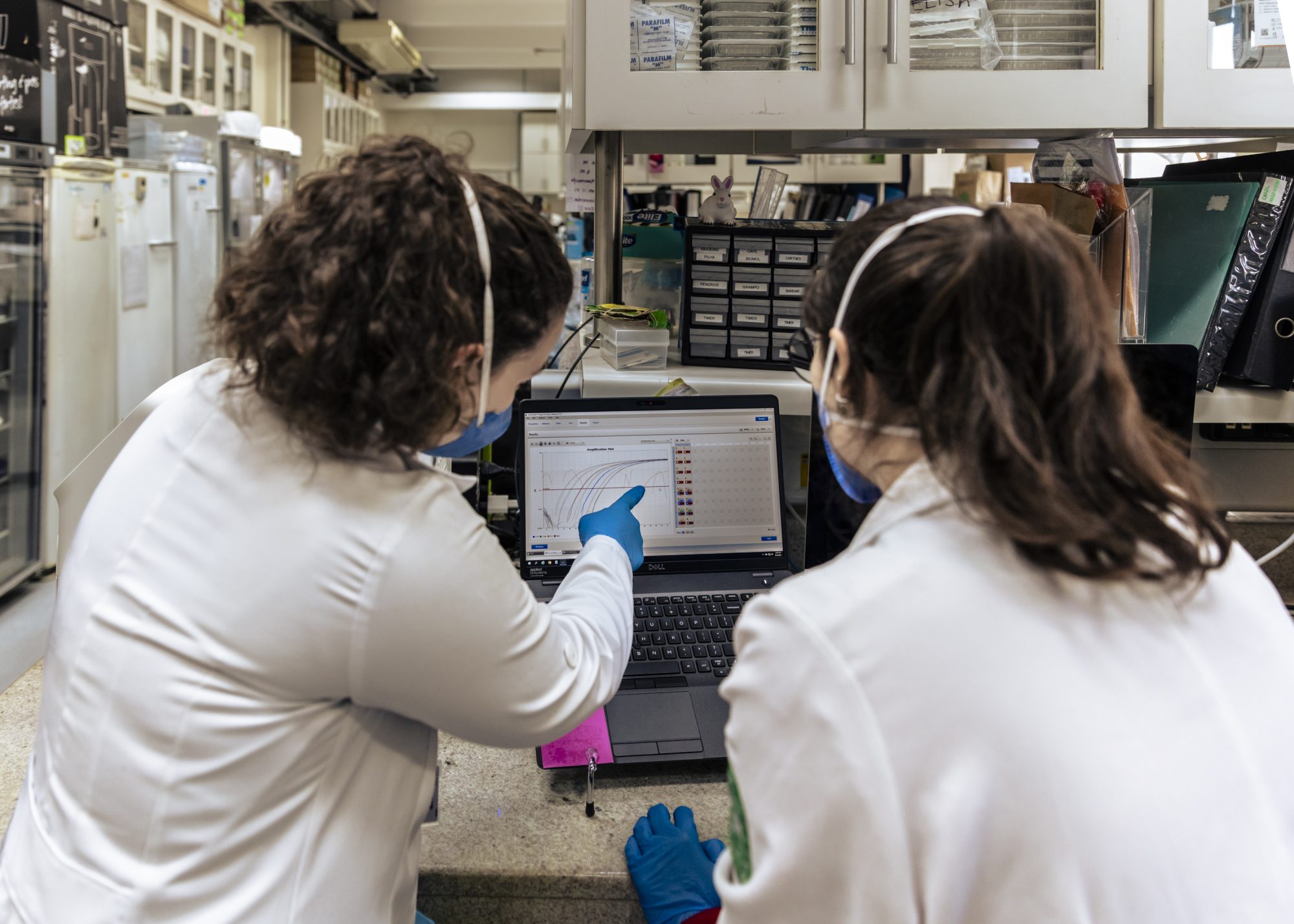 Portrait of the São Paulo University Medical 
investigation laboratory's researchers Mariana Prado Marmorato (left) and Carolina Argondizo Correia (right) during a viral genomic analysis.